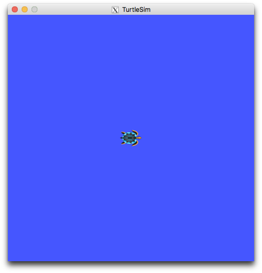 ROS TurtleSim Finestra