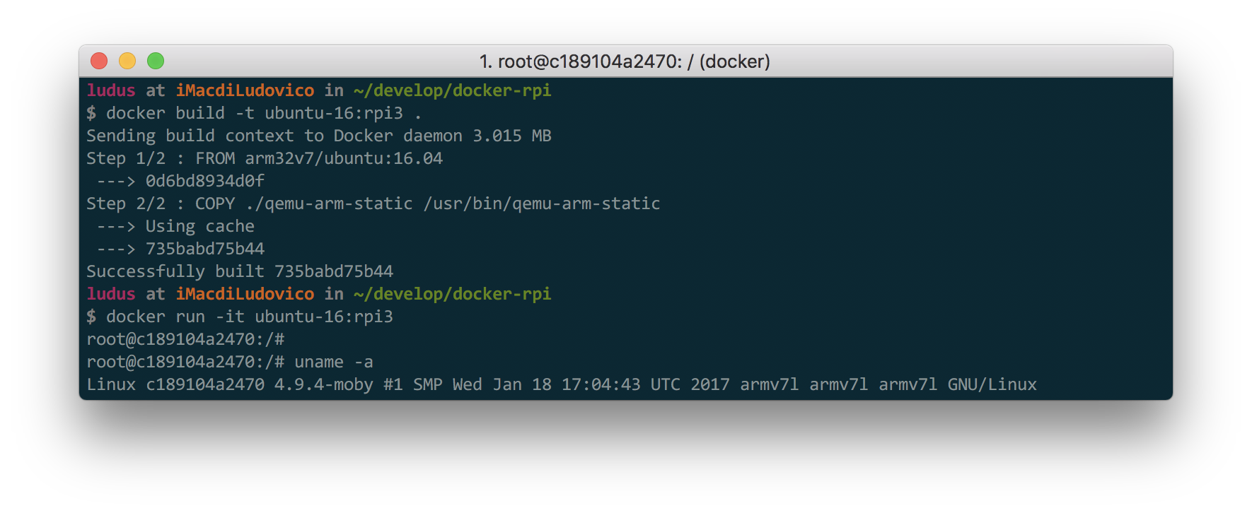 Qemu registrato nel docker