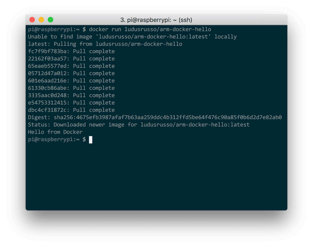 Dockerhub Run